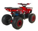 125cc Youth ATV 4-stroke 1-cylinder JUST ARRIVED 2025 - Image 2