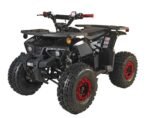 125cc Youth ATV 4-stroke 1-cylinder JUST ARRIVED 2025 - Image 7