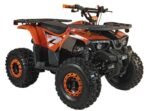 125cc Youth ATV 4-stroke 1-cylinder JUST ARRIVED 2025 - Image 3