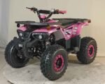 125cc Youth ATV 4-stroke 1-cylinder JUST ARRIVED 2025 - Image 5