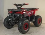 125cc Youth ATV 4-stroke 1-cylinder JUST ARRIVED 2025 - Image 4