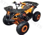 New Mini Desert 125cc Atv, Air Cooling, Single Cylinder, 4 Stroke, Electric Start