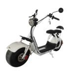 eDrift Fat Bear Fat City Electric Fat Tire Scooters [PREORDER 6-8 WEEKS] - Image 2