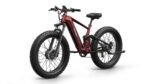PUCKIPUPPY GoldenR Dual-Motor E-Bike - Image 6