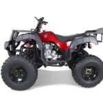 Taotao 250 Rhino Adult Utility ATV
