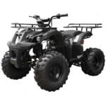 Tao T Force T125 Mid Size ATV