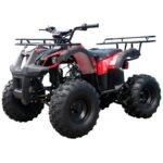 Tao T Force T125 Mid Size ATV - Image 2