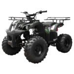 Tao T Force T125 Mid Size ATV - Image 3