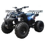 Tao T Force T125 Mid Size ATV - Image 4