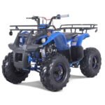 TaoTao T-Force T125 4-Wheeler All-Terrain Vehicle ATV