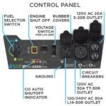 Westinghouse WGen5300DFcv – 5300 Watt Dual-Fuel Portable Generator w/ RV Outlet & CO Sensor (49-State) - Image 10